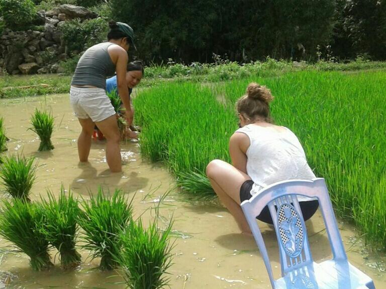Yen Nhi Homestay Ban Gioc Cao Bang Esterno foto
